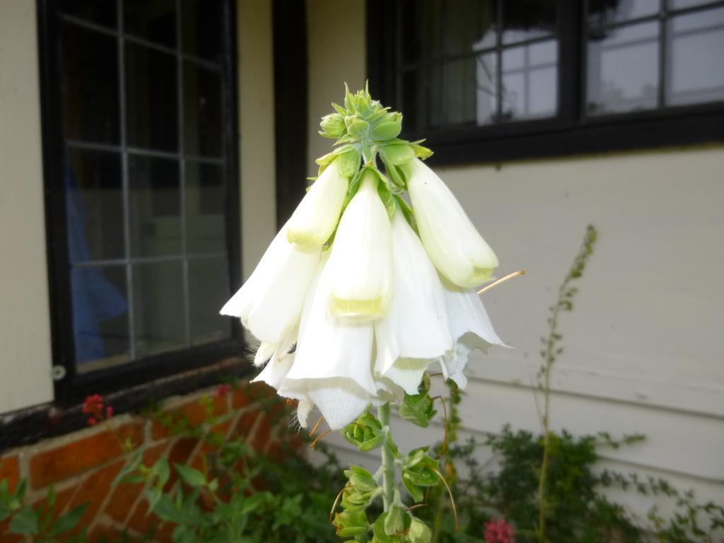 Church Hall Farm Bed And Breakfast Broxted Rom bilde