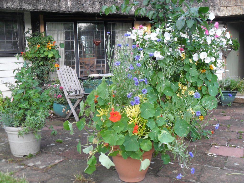Church Hall Farm Bed And Breakfast Broxted Eksteriør bilde